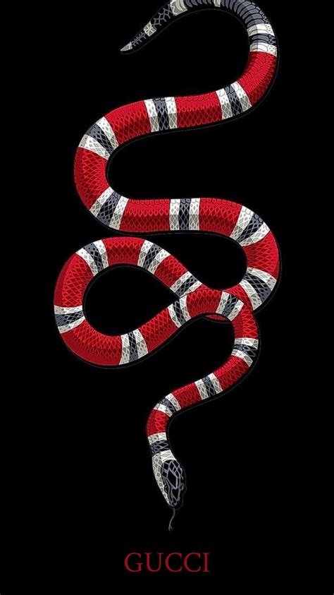 gucci snake lockscreen|gucci wallpapers for laptop.